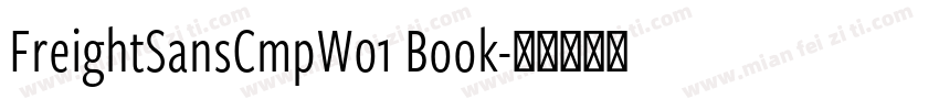 FreightSansCmpW01 Book字体转换